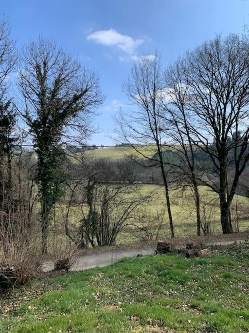 Gite Maison Du Trottoir, Sussac Bagian luar foto